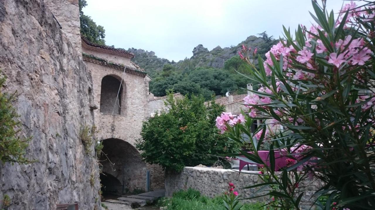 Gite De La Tour Saint-Guilhem-le-Desert Eksteriør billede