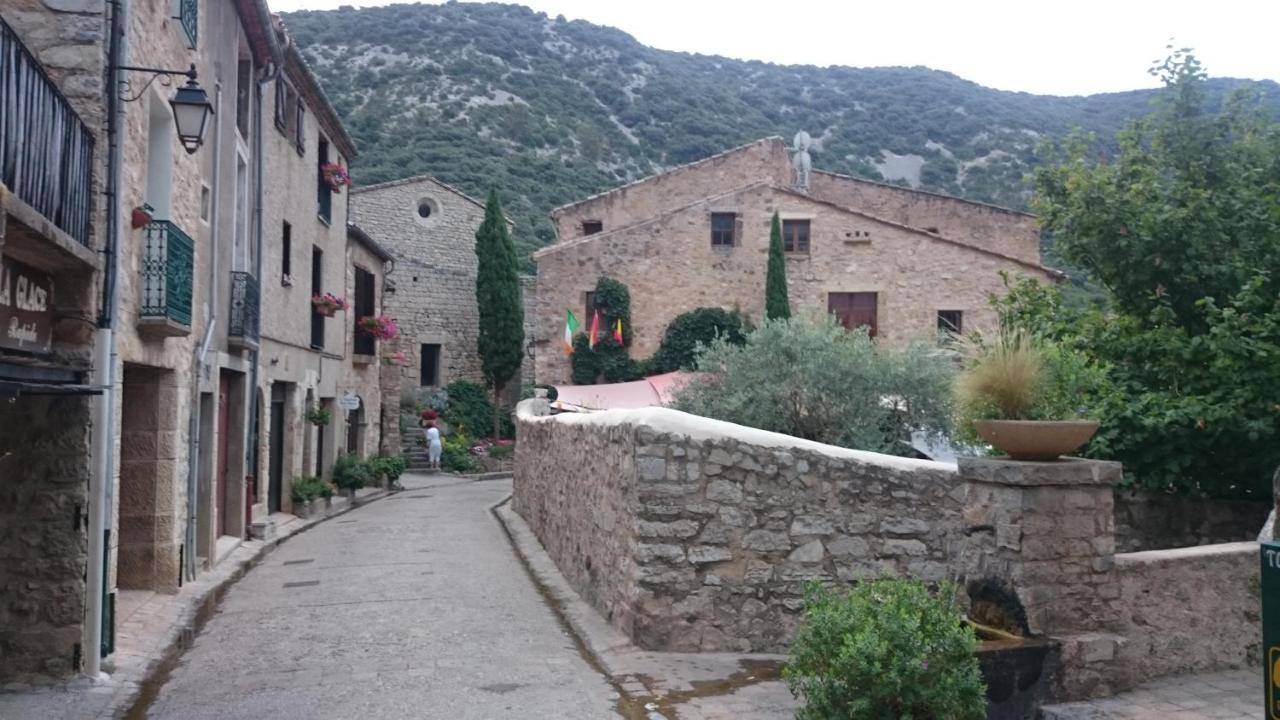 Gite De La Tour Saint-Guilhem-le-Desert Eksteriør billede